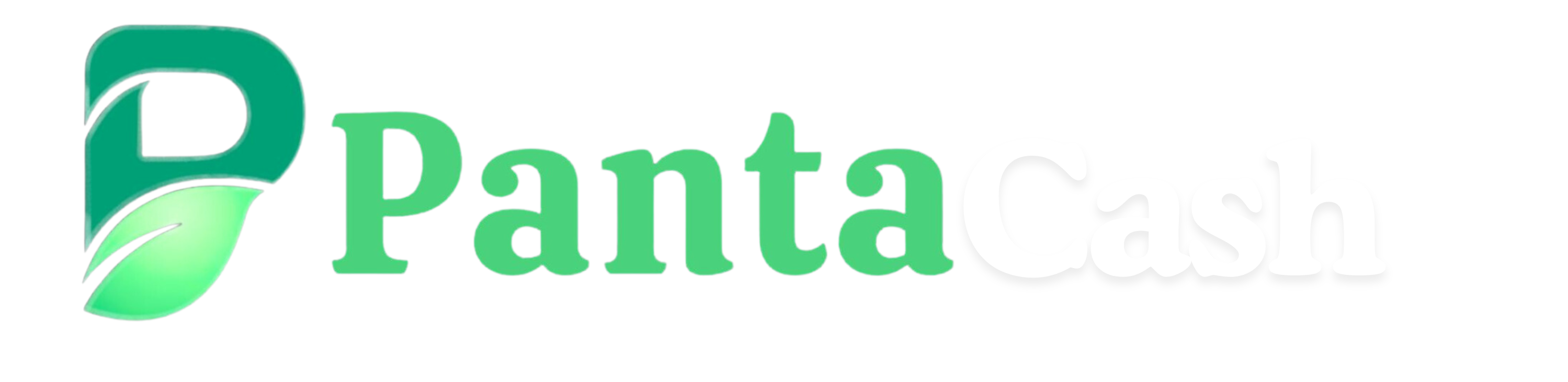 pantacash-logo-footer